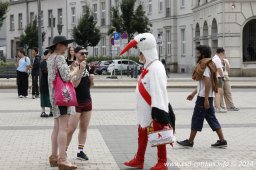 29.06.2024 | CSD - Demo