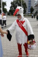 29.06.2024 | CSD - Demo