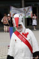 29.06.2024 | CSD - Demo