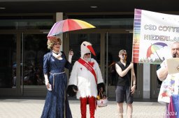 29.06.2024 | CSD - Demo