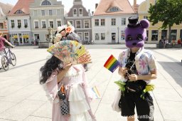 29.06.2024 | CSD - Demo