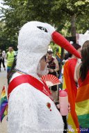 29.06.2024 | CSD - Demo