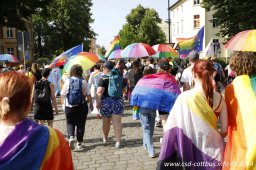 29.06.2024 | CSD - Demo