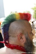 29.06.2024 | CSD - Demo