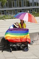 29.06.2024 | CSD - Demo