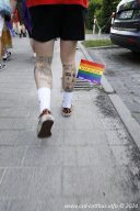 29.06.2024 | CSD - Demo