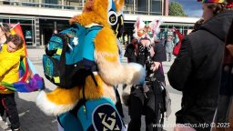 25.10.2025 | CSD - Demo