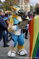 25.10.2025 | CSD - Demo