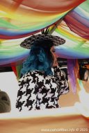 25.10.2025 | CSD - Demo