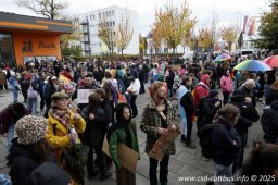 25.10.2025 | CSD - Demo